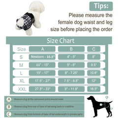 Grecle couches-chien-femelle ouverture queue ajustable pour un maintien précis.