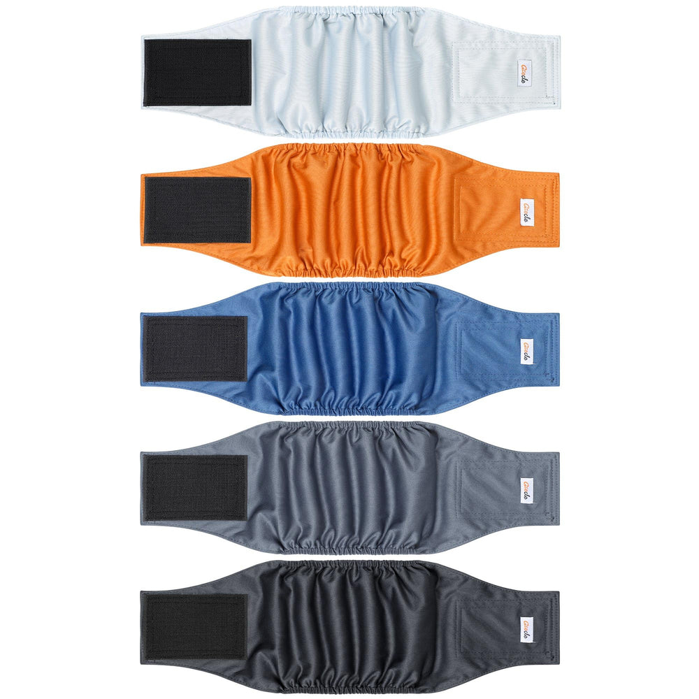 Grecle couches ventrales mâle chien 5-pack: absorption rapide et protection des meubles.