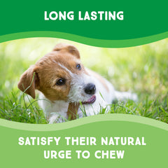GreenCow Rawhide Chips – texture robuste pour mâcher longtemps et calmer les instincts.