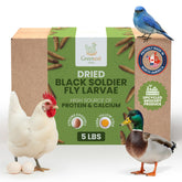 Greenest Treats - larves-mouche-soldat-noire-poulets : source naturelle de protéines pour des poulets vigoureux.