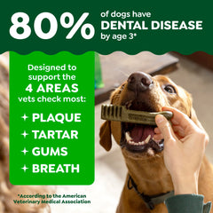 Greenies bouchées dentaires Petites, sans cuir, formulation naturelle et facile à digérer.