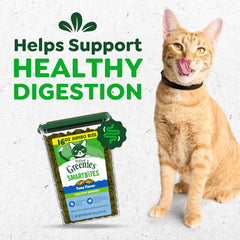 Greenies Feline Smartbites texture croquante et crémeuse pour une friandise stimulante.