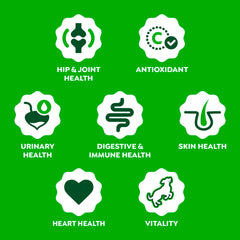Postbiotique levure pour digestion et immunité avec Greenies.