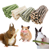 GREMBEB branche-pomme-naturelle: support dentaire naturel et enrichissement sensoriel pour petits animaux