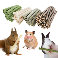 GREMBEB branche-pomme-naturelle: support dentaire naturel et enrichissement sensoriel pour petits animaux