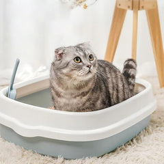GRETJOB Kit chaton bols automatiques alimentation et hydratation faciles