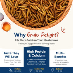 Grubs Delight, larves noires sechees: richesse en protéines et nutrition pour les volailles.