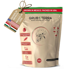 GrubTerra BSFL, larves sèches pour poulets, friandise protéinée et équilibrante.