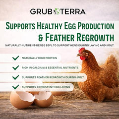 GrubTerra - sachet refermable BSFL pour poules, maintien de la fraîcheur.