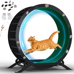 GTPLAYER roue d’exercice pour chats 40 pouces favorisant l’activité et le divertissement.