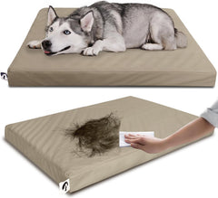 Guangdeen lit-chien imperméable en cuir marron, pratique après les sorties pluvieuses.