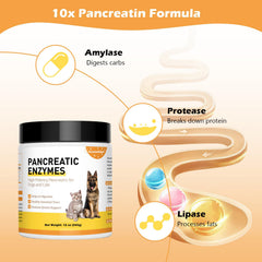 Guanshiya enzymes pancréatiques chien améliorant l’absorption des nutriments.