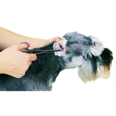 Guardian Gear ProEar Hygiène Auriculaire Chiens : sécurité et confort pour chiens et chiots.