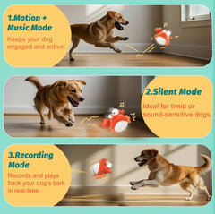 GUKCO Crab : ballon bougeant intégré pour capter l'attention du chien.