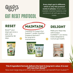 Gussy's Gut Sustain, poudre prébiotique fermentée soutenant l'absorption des nutriments.