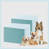 GWT Tapis-pipi 22x22 pour chiots, protection anti-fuite.