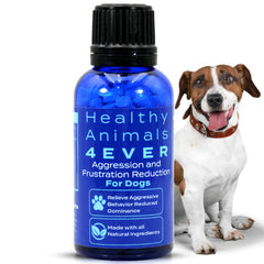 HA4E tablettes apaisantes pour chien, aide potentielle au calme face au stress.