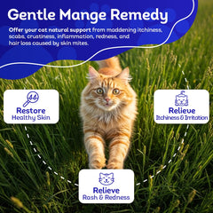 HA4E peau chat – visuel montrant une peau potentiellement plus saine grâce au produit.