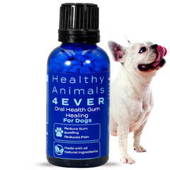 HA4E tablettes dentaires pour chien, soutien bucco-dentaire naturel.