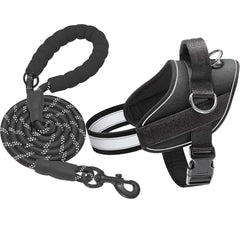 Harnais Haapaw durable pour chien moyen, parfait pour des promenades longues et des entraînements.