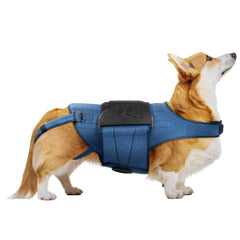 Orthèse dos HAGGEMI bleu pour chien, soutien fiable lors des promenades.