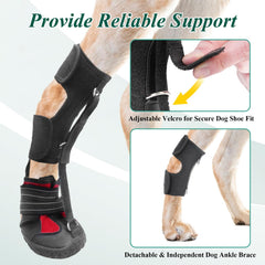 HAGGEMI semelle antidérapante patte chien: traction et protection.