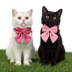 HaiFafafaing collier chat clochette pour repérer le chat en mouvement