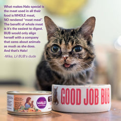 Halo Pâté Chat : ingrédients-naturels-taurine pour yeux et cœur.