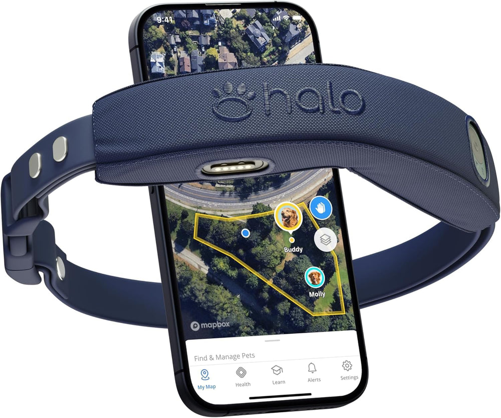 Halo Collar 4 offre la couverture du périmètre sans fil pour chien actif.