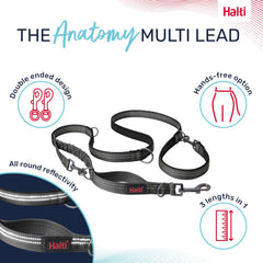 Halti Anatomy avec bungee absorbant pour des sorties plus fluides.