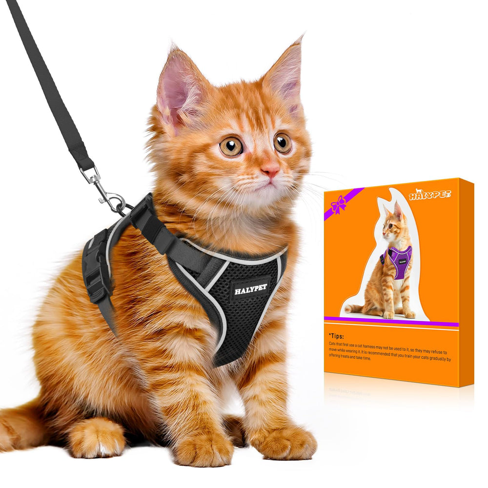 Harnais Halypet H600 Pro anti-esquive pour chats, sécurité renforcée en extérieur.