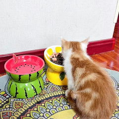 Hamiledyi bol chat incline pour une posture naturelle lors des repas.