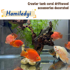 Hamiledyi decor terrarium bois flotte, refuges pour poissons
