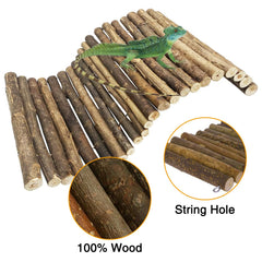 Hamiledyi feuilles artificielles ajoutent un aspect naturel et stimulant.