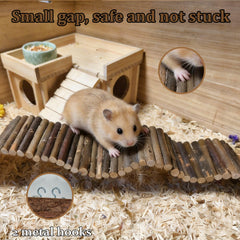 Hamiledyi: hamster explorant le pont, stimule curiosité et agilité.