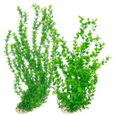 Hamiledyi: plantes d'aquarium hautes vertes, décor naturel et sûr pour les poissons.