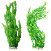 Hamiledyi, plante d'aquarium verte grand décor, impressionnante et naturelle.