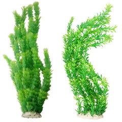 Hamiledyi, plante d'aquarium verte grand décor, impressionnante et naturelle.