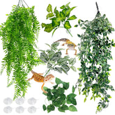 Hamiledyi plante terrarium suspendue grande feuille style a, idéale pour créer un espace caché.