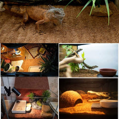 Hamiledyi Reptile Carpet Arrière-plan: deux tapis propres prêts à l'emploi