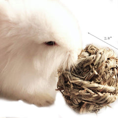 Texture naturelle dense de la boule Hamiledyi pour ronger en douceur
