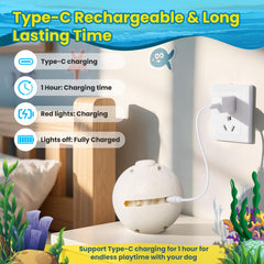 Hanarook recharge-type-c et chargement rapide pour sessions prolongées.