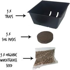 Handy Pantry Croissance-herbe-chat-interieur – pousse propre et sans désordre.