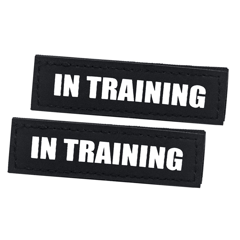 Patch HANWER chien d’assistance sur harnais noir, identification claire pendant les sorties.