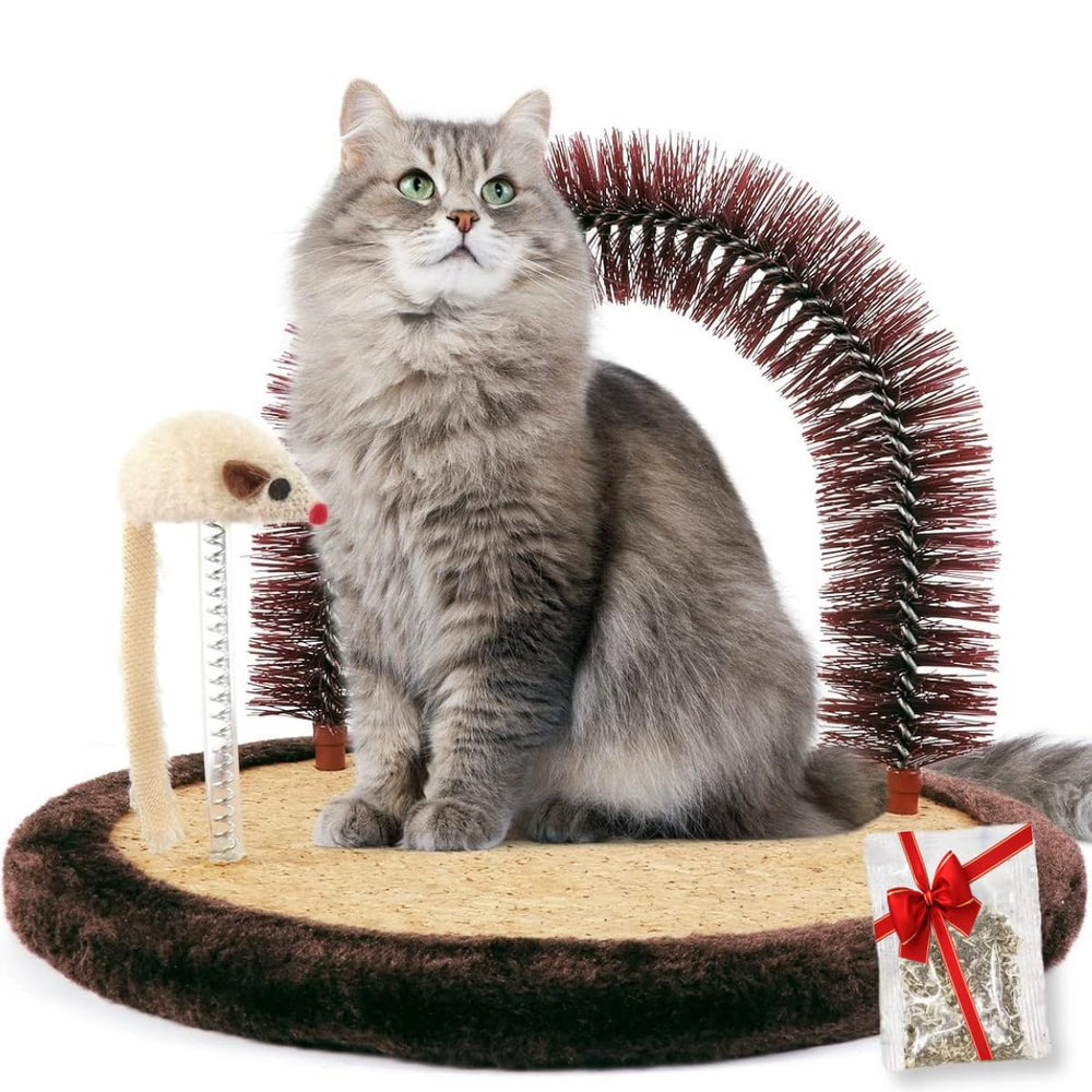 Happi N Pets brosse-auto soin chat, massage doux du pelage