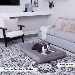 Happy Hounds Daisy Deluxe face microfibre veloutée offre douceur et durabilité.
