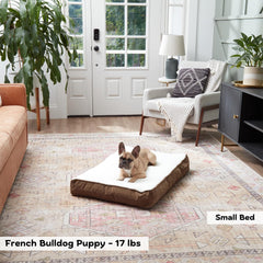 Lit Happy Hounds Daisy Deluxe, face microfibre réversible offrant confort et durabilité.