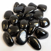 HappyFiller cailloux noirs polis pour terrarium, élégants et assurent un drainage efficace.