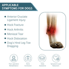 Attelle HAPPYHAO avec support ajustable pour patte arrière du chien