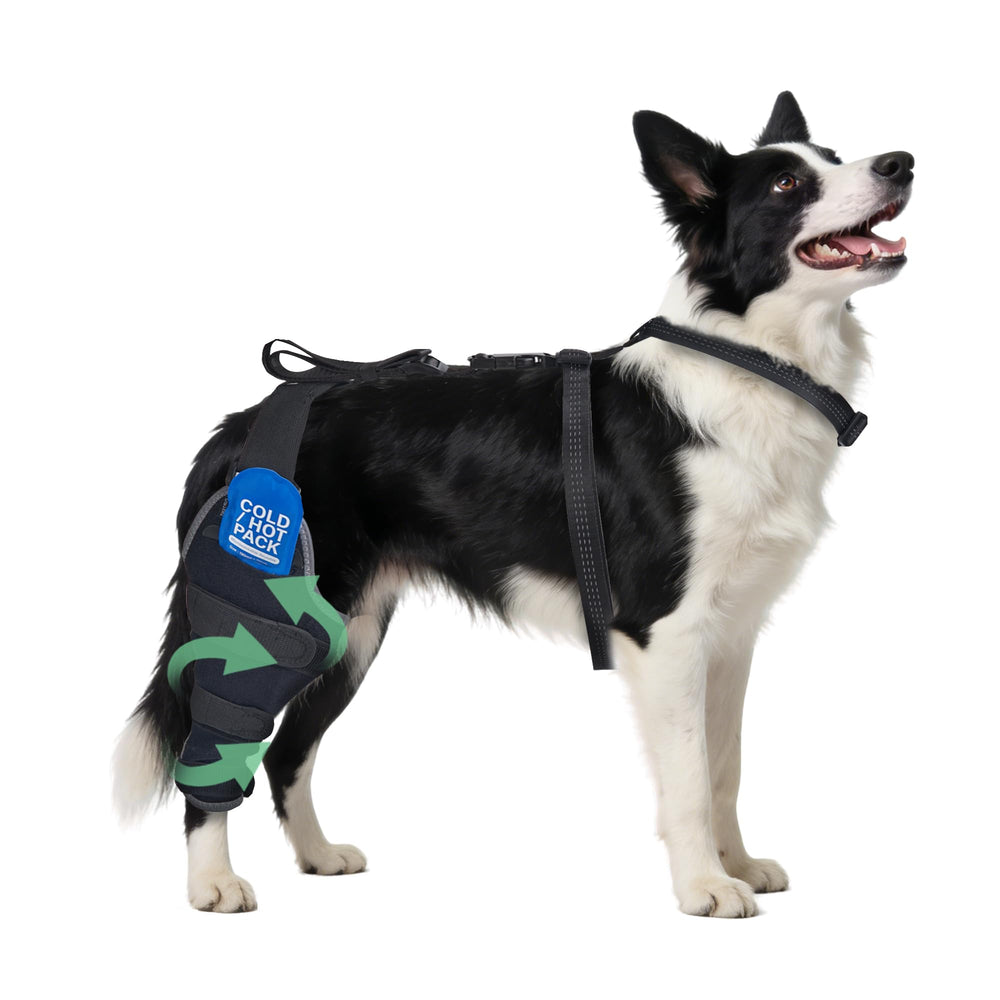 HappyHao brace-genou-chien-arriere pour soutien stable et confortable.